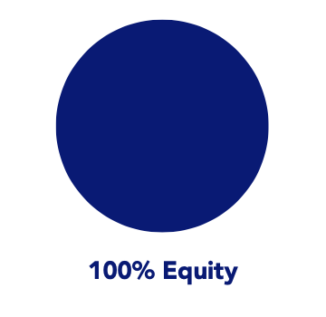 100% Equity