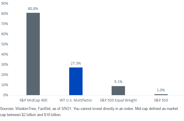 Figure 4_Percent Index Weight in Mid-Caps
