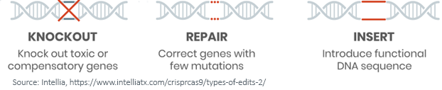 Figure 1_DNA sequences