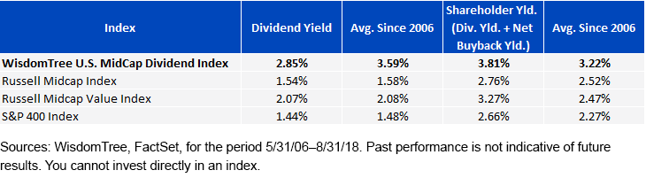 Midcap Dividend Index Performance